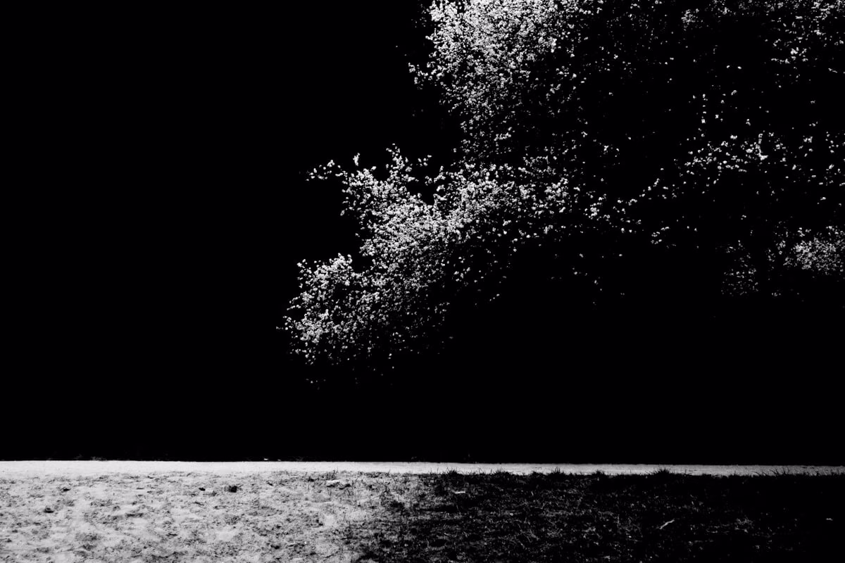 Maurizio Chiocchetti Photographer