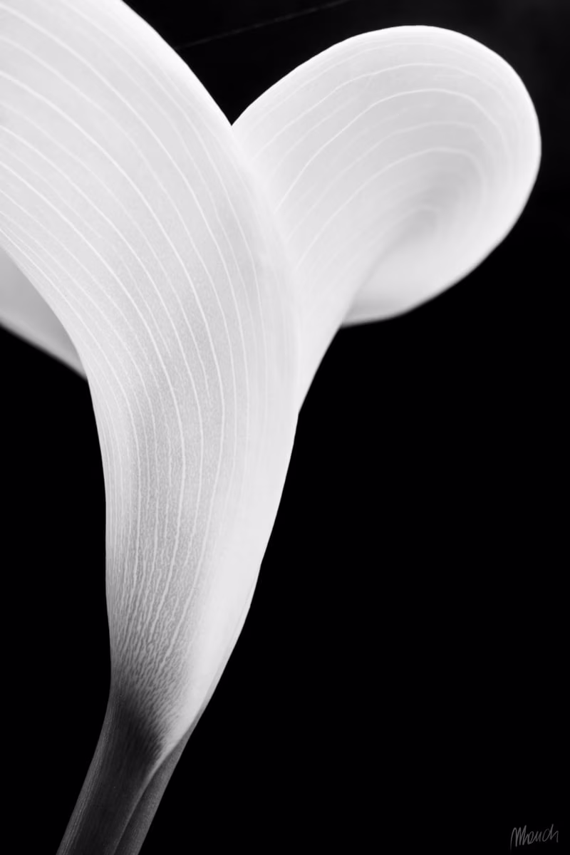 Maurizio Chiocchetti Photographer