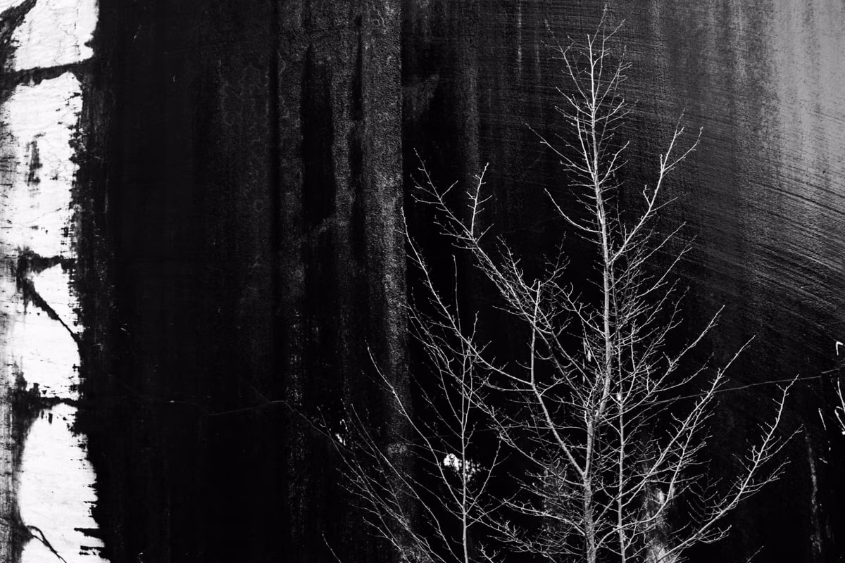 Maurizio Chiocchetti Photographer