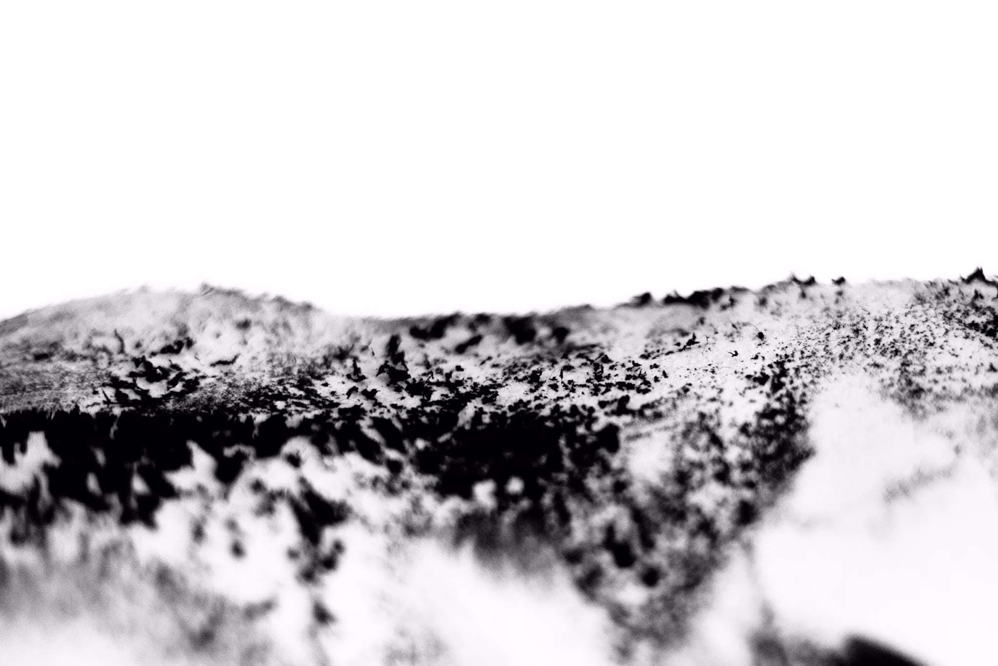 Maurizio Chiocchetti Photographer
