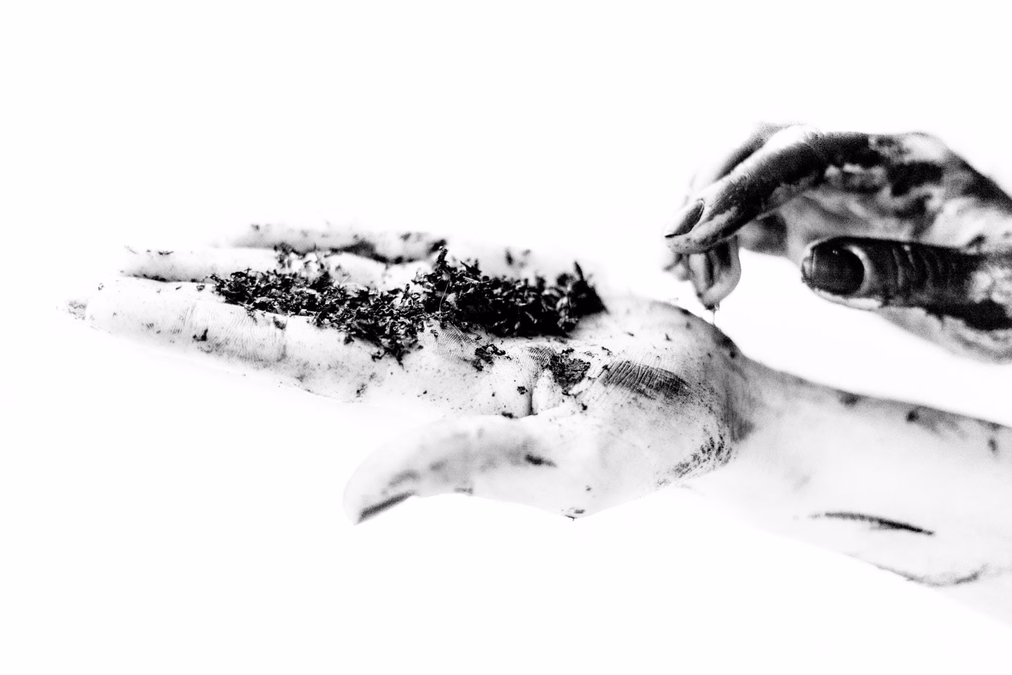 Maurizio Chiocchetti Photographer