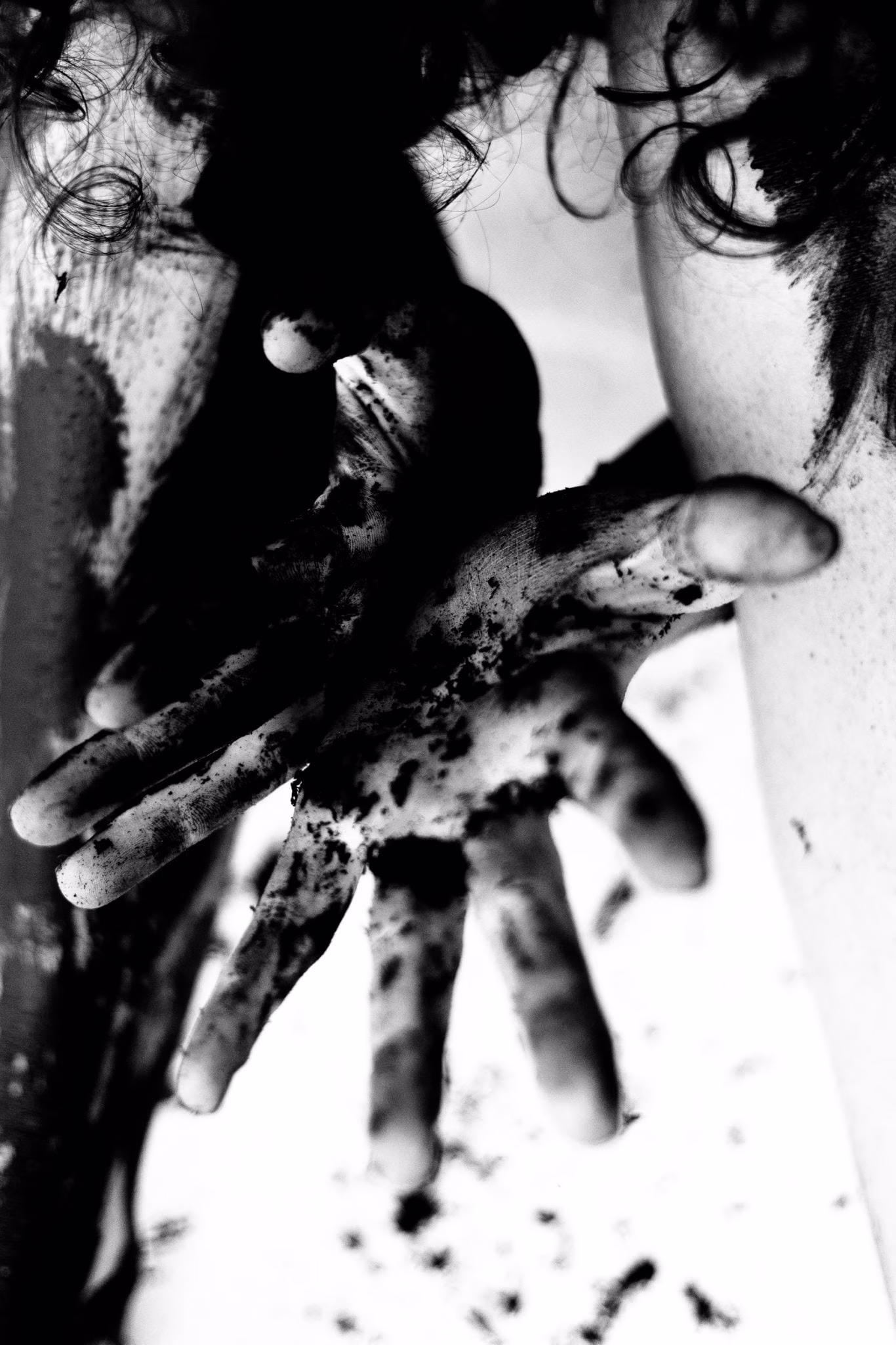 Maurizio Chiocchetti Photographer
