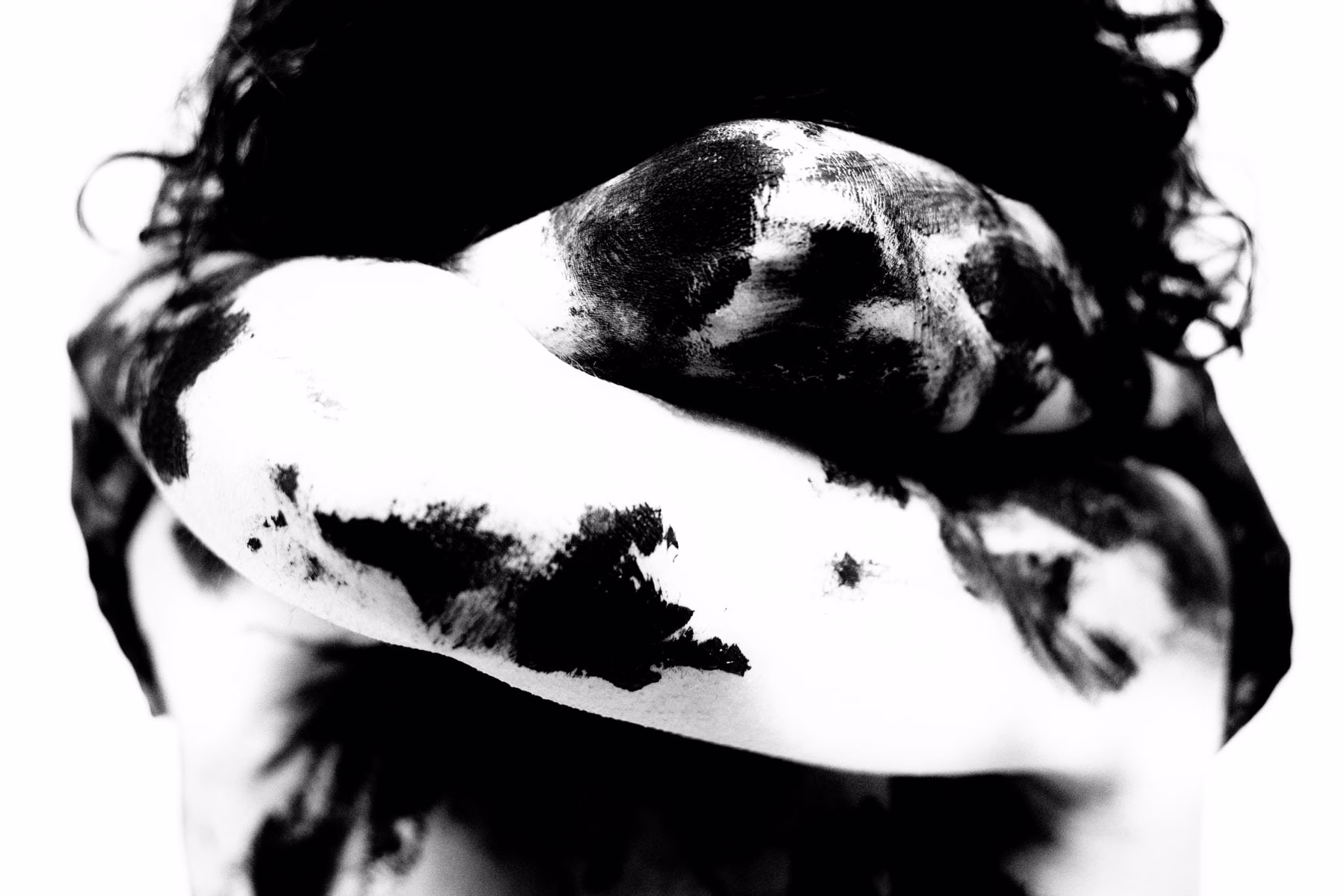 Maurizio Chiocchetti Photographer