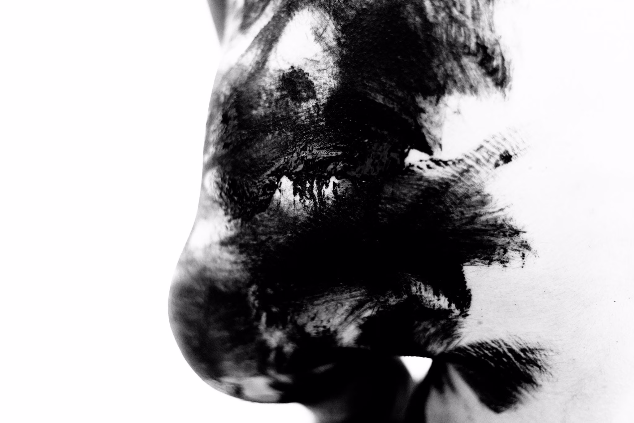Maurizio Chiocchetti Photographer