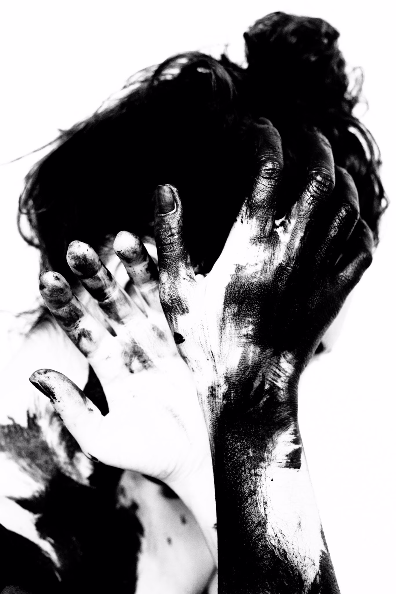 Maurizio Chiocchetti Photographer