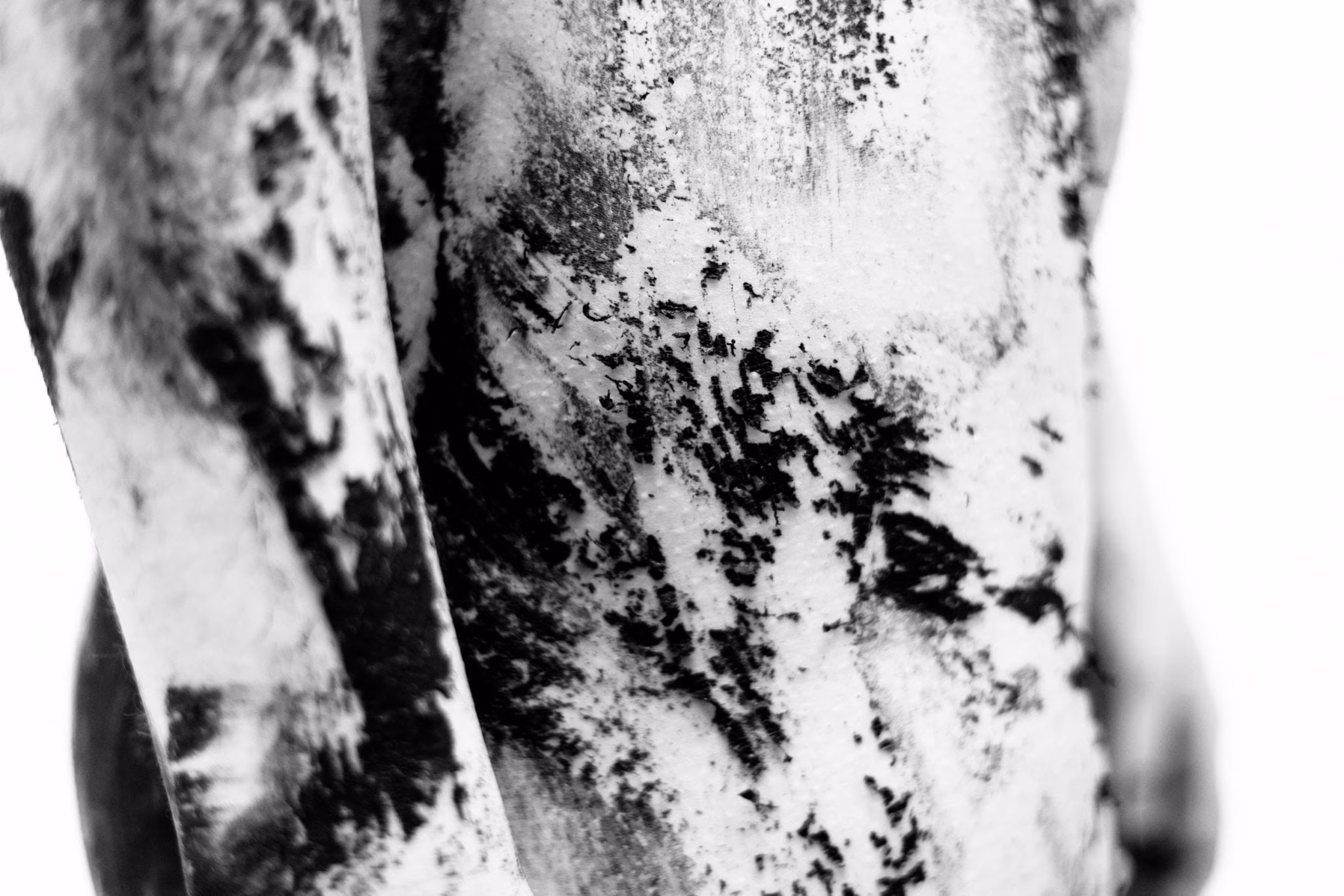 Maurizio Chiocchetti Photographer