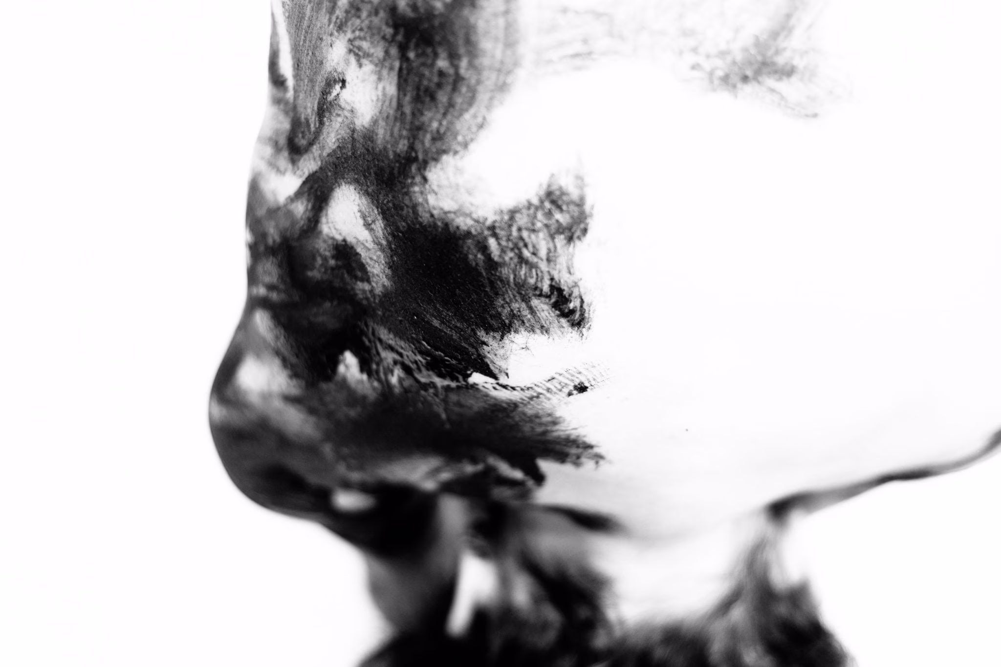 Maurizio Chiocchetti Photographer